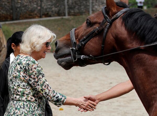 コーンウォール公爵夫人カミラがキューバの国立乗馬センターを訪れた - Sputnik 日本