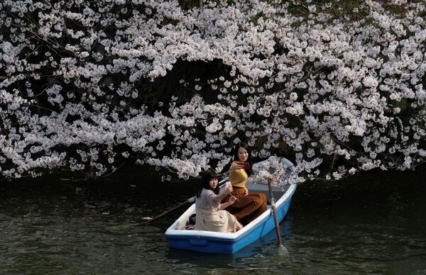 開花した桜の下、手こぎボートに乗って自撮りする女性たち。東京 - Sputnik 日本