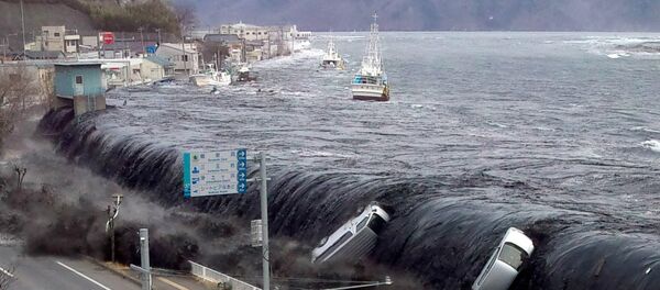福島のドキュメンタリー映画監督、「福島の死亡者の数には言葉を失う」 - Sputnik 日本