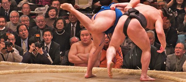 相撲(アーカイブ写真) 相撲(アーカイブ写真) - Sputnik 日本