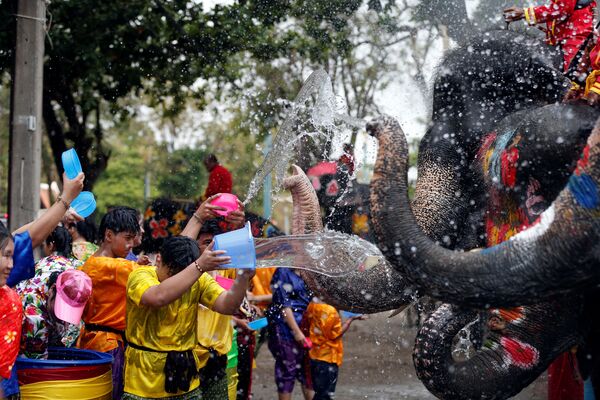 人とゾウが水を浴びる　タイの新年の祭で - Sputnik 日本