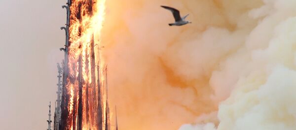 フランスの引き裂かれた心：ノートルダム大聖堂火災 - Sputnik 日本