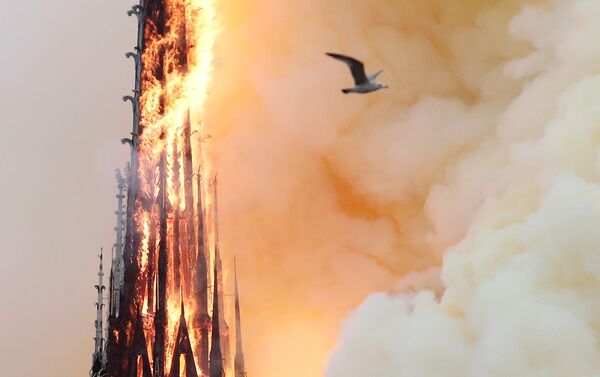 パリのノートルダム大聖堂で大きな火災
 - Sputnik 日本