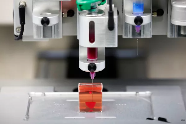 世界初の３Ｄプリンターでヒト組織から作成された世界初の生きた心臓。テルアビブ, イスラエル
