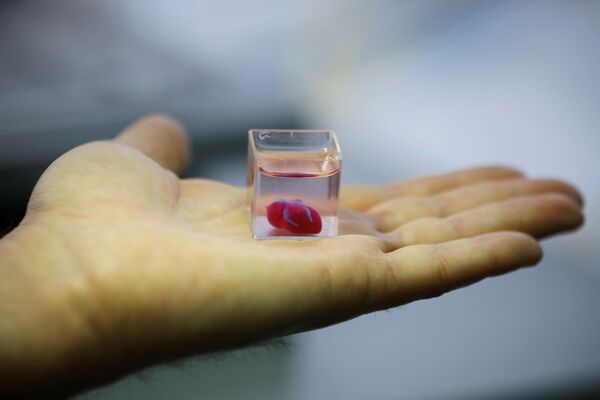 世界初の３Ｄプリンターでヒト組織から作成された世界初の生きた心臓。テルアビブ, イスラエル - Sputnik 日本