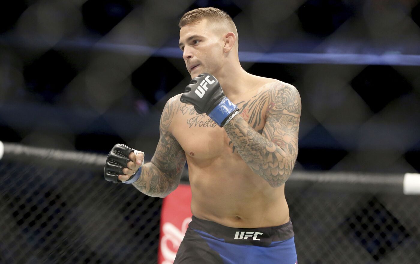 UFCチャンピオンベルト　ヌルマゴメドフ　プロハースカ　ポイエー　ゲイジー UFCチャンピオンベルトヌルマゴメドフプロハースカポイエーゲイジー