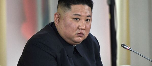 金正恩氏の健康悪化説 韓国は否定 - 聯合ニュース 金正恩氏の健康悪化説 韓国は否定 - 聯合ニュース - Sputnik 日本