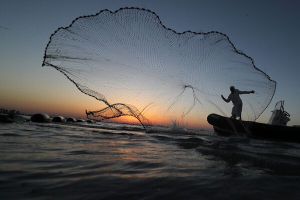 アブダビの海岸近くで網を放つ漁師、アラブ首長国連邦 - Sputnik 日本