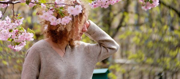 女性と桜、「友好の庭園」にて  女性と桜、「友好の庭園」にて  - Sputnik 日本