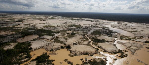 アマゾンでの森林破壊 アマゾンでの森林破壊 - Sputnik 日本