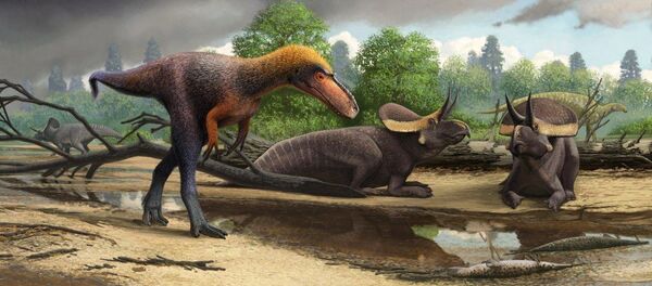 ティラノサウルス ティラノサウルス - Sputnik 日本