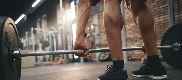 ワークアウト - Sputnik 日本