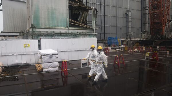 福島第1原子力発電所 - Sputnik 日本