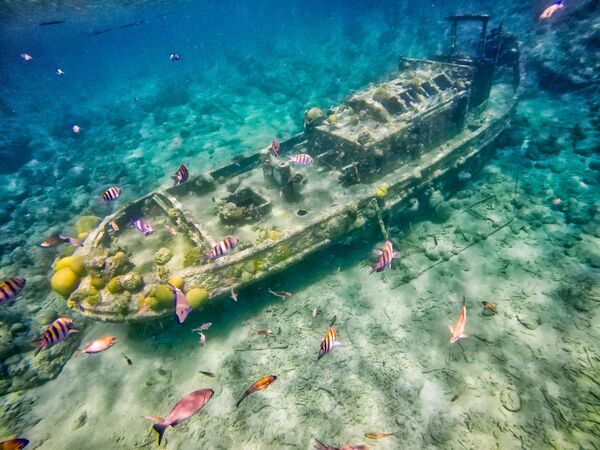 沈没したタグボート　カリブ海　キュラソー島 - Sputnik 日本