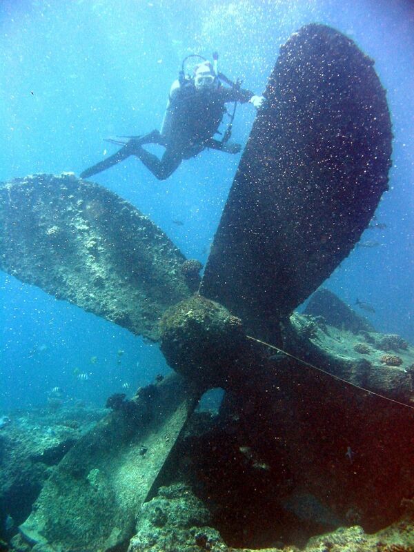 沈没船に向かって潜水するダイバー　米国ハワイ州　パール・アンド・ハーミーズ環礁 - Sputnik 日本