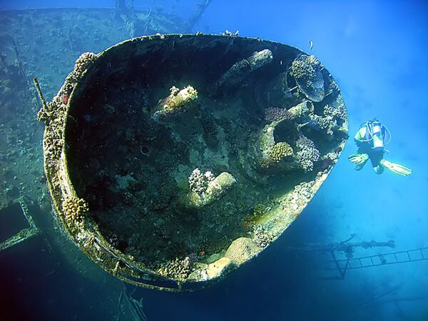 紅海のサンゴ礁に沈没した船　ヤニスＤ - Sputnik 日本