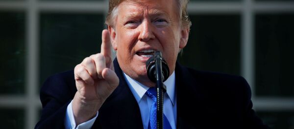 トランプ大統領、再び国家非常事態を宣言へ＝ザ・ヒル - Sputnik 日本