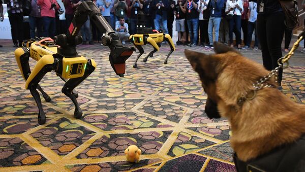 ロボット犬がステージで転倒も、誰も助けず！　 - Sputnik 日本