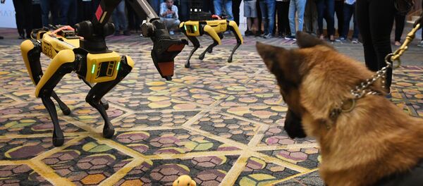 ロボット犬がステージで転倒も、誰も助けず! ロボット犬がステージで転倒も、誰も助けず! - Sputnik 日本