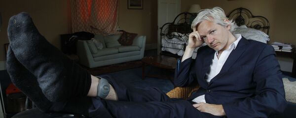 アサンジ被告 (アーカイブ写真) アサンジ被告 (アーカイブ写真) - Sputnik 日本