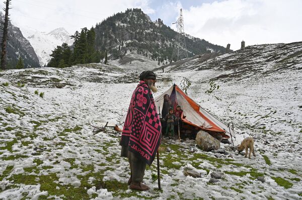 インドで降雪の後、テントの中に滞在する遊牧民 - Sputnik 日本