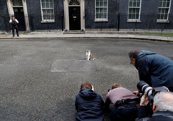 英ロンドンの首相官邸前で、猫のラリーの写真を撮影する報道関係者たち - Sputnik 日本