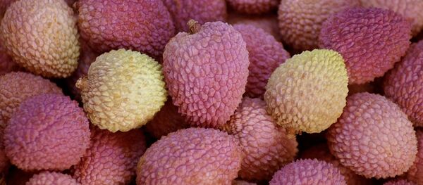 ライチ ライチ - Sputnik 日本