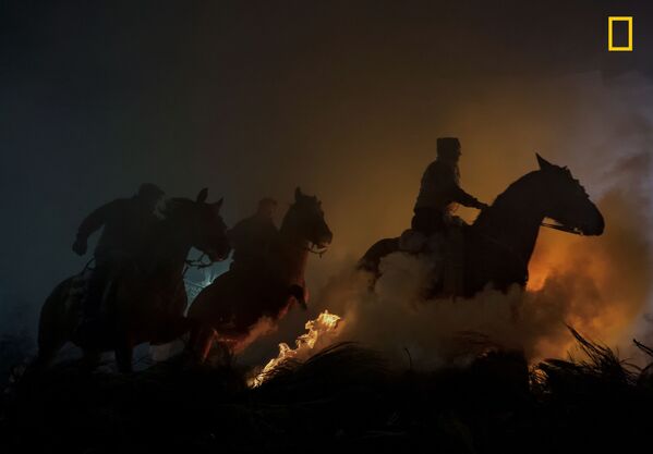 「人びと」部門で２位になったYoshiki Fujiwara氏の写真「馬」 - Sputnik 日本