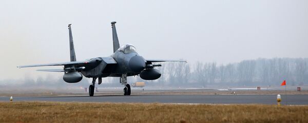 F-15C  F-15C  - Sputnik 日本