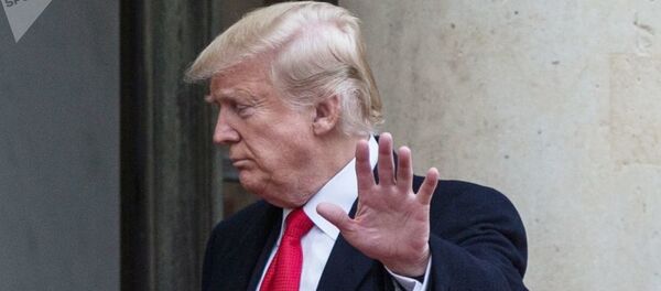 トランプ氏 - Sputnik 日本