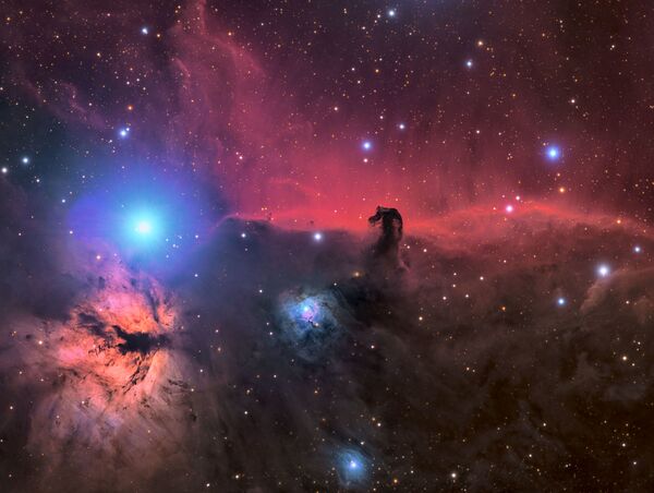 「馬の頭と散光星雲」　コナー・マザーン、米国 - Sputnik 日本