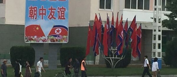 習国家主席、北朝鮮に到着　中国主席の訪朝は１４年ぶり - Sputnik 日本