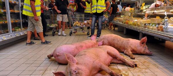 フランス農夫、激昂のあまりスーパーに豚を放つ フランス農夫、激昂のあまりスーパーに豚を放つ - Sputnik 日本