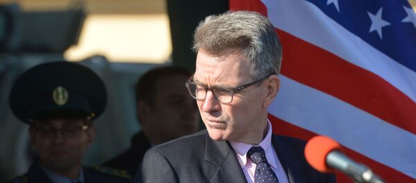 ウクライナのボスと呼ばれる米国大使 ウクライナのボスと呼ばれる米国大使 - Sputnik 日本