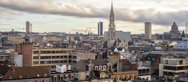 欧州で対ロ関係をめぐり政界の分裂が始まっている 欧州で対ロ関係をめぐり政界の分裂が始まっている - Sputnik 日本