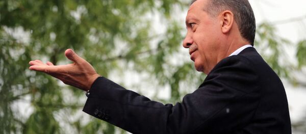 シリア閣僚:Su-24はエルドアン大統領の息子の利益のために撃墜された シリア閣僚:Su-24はエルドアン大統領の息子の利益のために撃墜された - Sputnik 日本