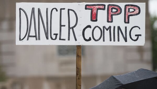TPPは参加国ではなく大企業にとって有利なだけ - Sputnik 日本