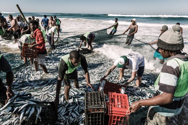 浜辺で編で魚を採る地元民　南アフリカ - Sputnik 日本