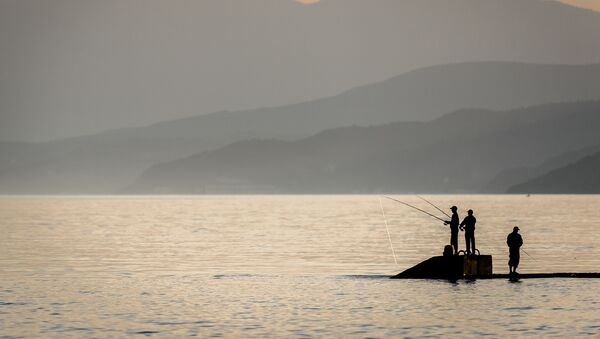 世界最大の105キロの巨大魚パーカーホ　英国人が釣り上げる【写真】 - Sputnik 日本