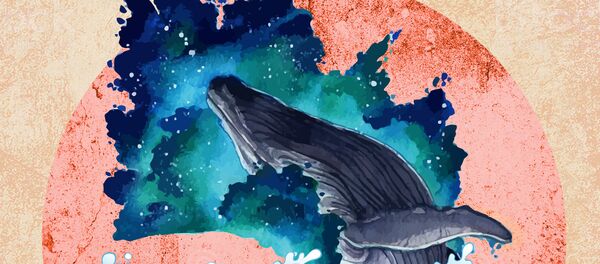 子守唄を歌い、日なたに長時間いるのを嫌う:クジラに関する8つの事実 子守唄を歌い、日なたに長時間いるのを嫌う:クジラに関する8つの事実 - Sputnik 日本