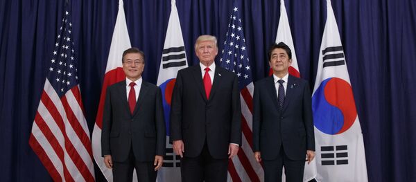 米韓　日本に輸入規制の協議申し入れへ　日本側の反応は？ - Sputnik 日本