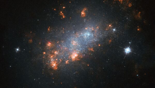 Галактика NGC 1156 в созвездии Овна - Sputnik 日本