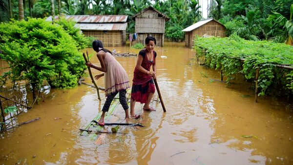 インド・アッサム州で洪水　約５２０万人が被災、少なくとも２０人が死亡 - Sputnik 日本