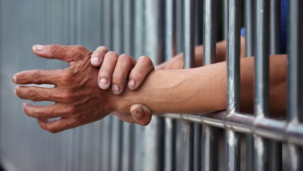逮捕 - Sputnik 日本