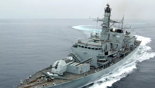 英国艦隊は自国の利益を守るには力が弱い　英国政府が表明