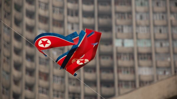 北朝鮮国旗 - Sputnik 日本