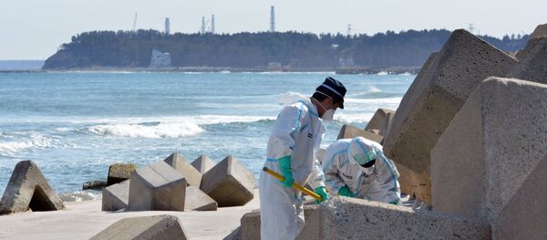 福島第1原発(アーカイブ写真) 福島第1原発(アーカイブ写真) - Sputnik 日本