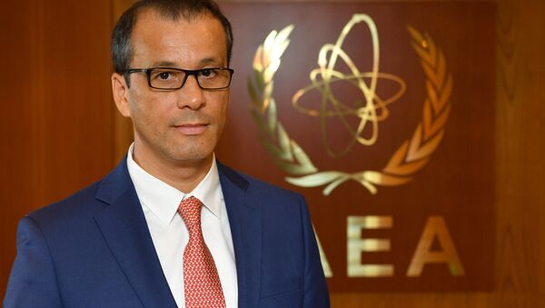 IAEA、事務局長代理を任命 - Sputnik 日本