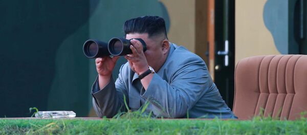 北の新型ミサイルは韓国のMDシステムでは迎撃困難＝米韓軍 - Sputnik 日本