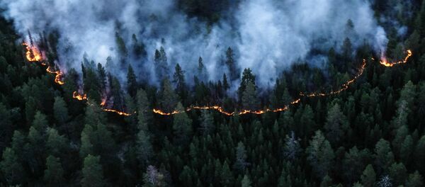 シベリアが燃えている 30度の暑さで森林火災が急速に拡大 シベリアが燃えている 30度の暑さで森林火災が急速に拡大 - Sputnik 日本